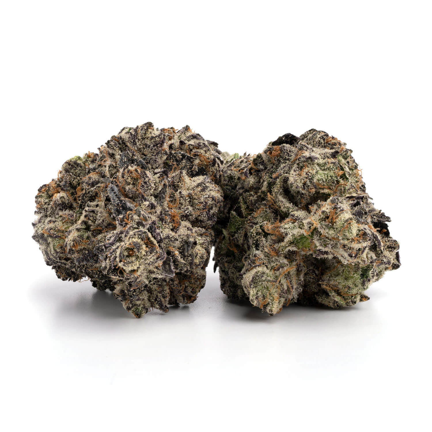 White Truffle 2 White Truffle - Image 2