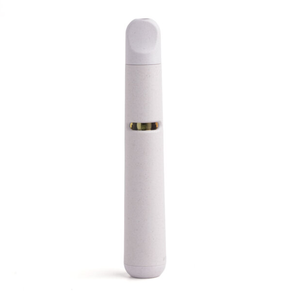 Eco-Canna 1g THC Disposable Vape Pen