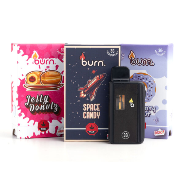 3g Disposable Vapes - Burn