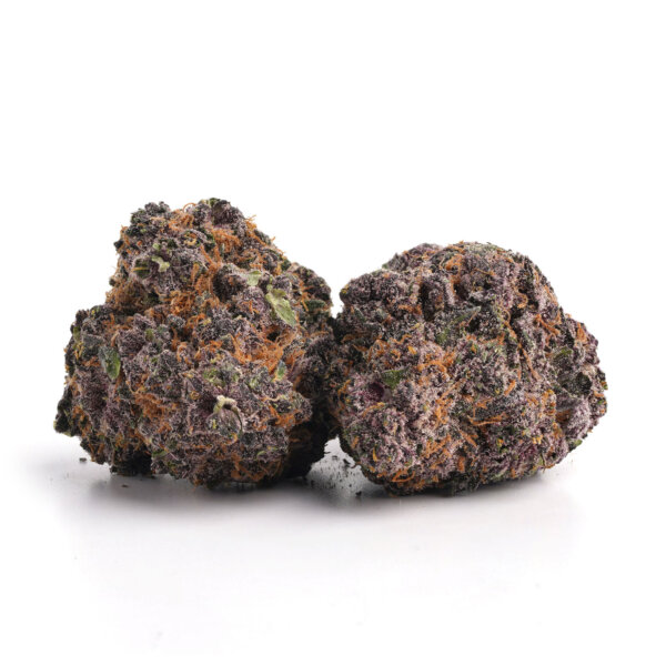 Fruitopia 1