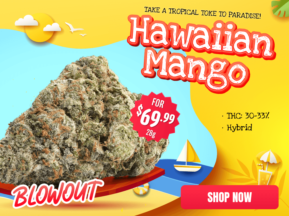 Hawaiin Mango mob