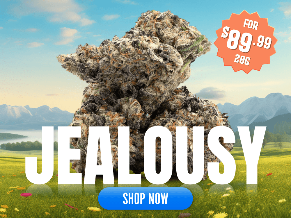 Jealousy mob