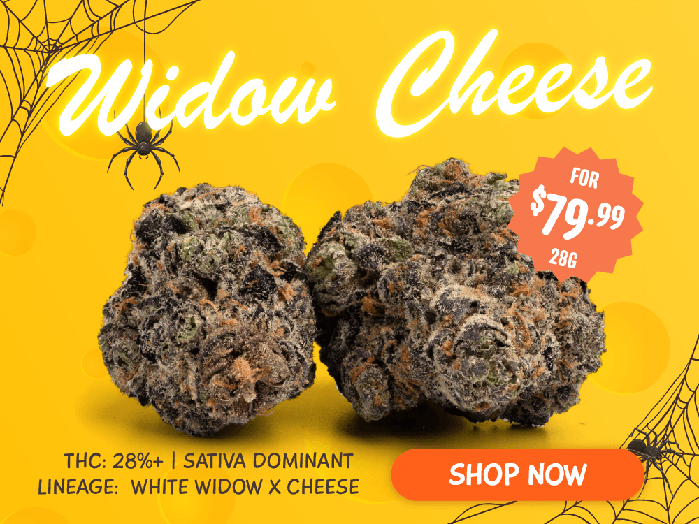 Widow Cheese mob
