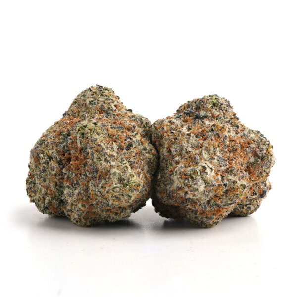 Blue Lobster Strain