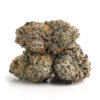 Buy Night Terror OG Online Canada