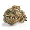 Night Terror OG