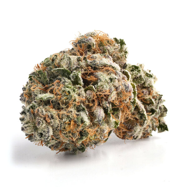 Night Terror OG