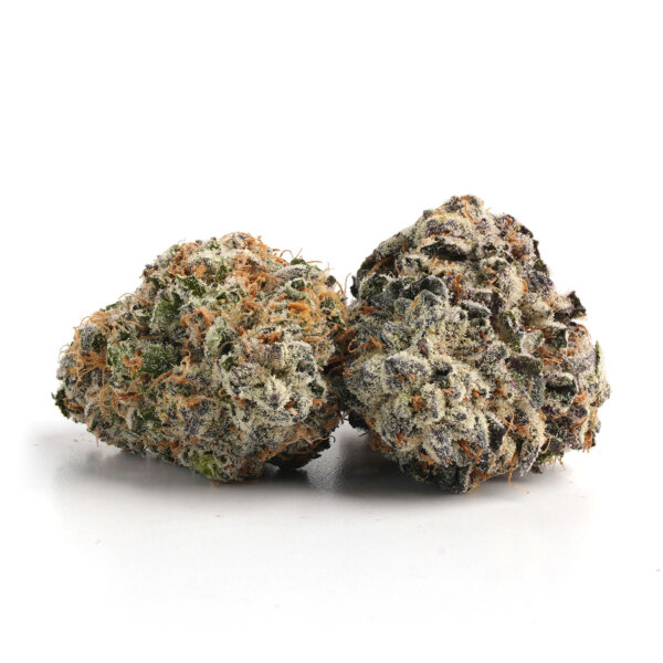 Night Terror OG Strain