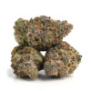 Vampire Killer 5 Buy Vampire Killer Online Canada
