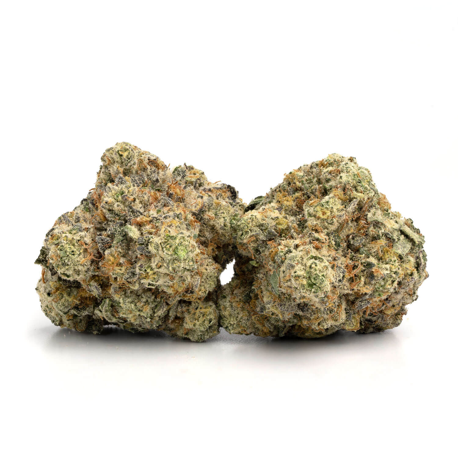 Alien Mintz 2 Alien Mintz Strain