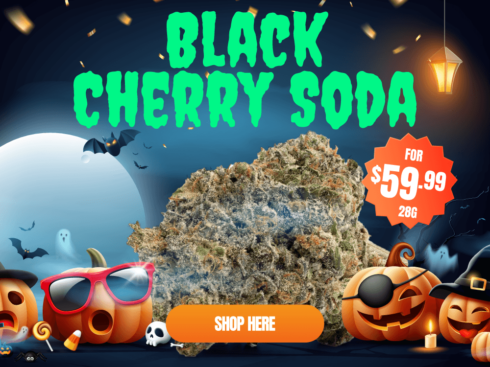 Black Cherry Soda mob 4