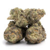 Area 51 5 Buy Area 51 Online Canada