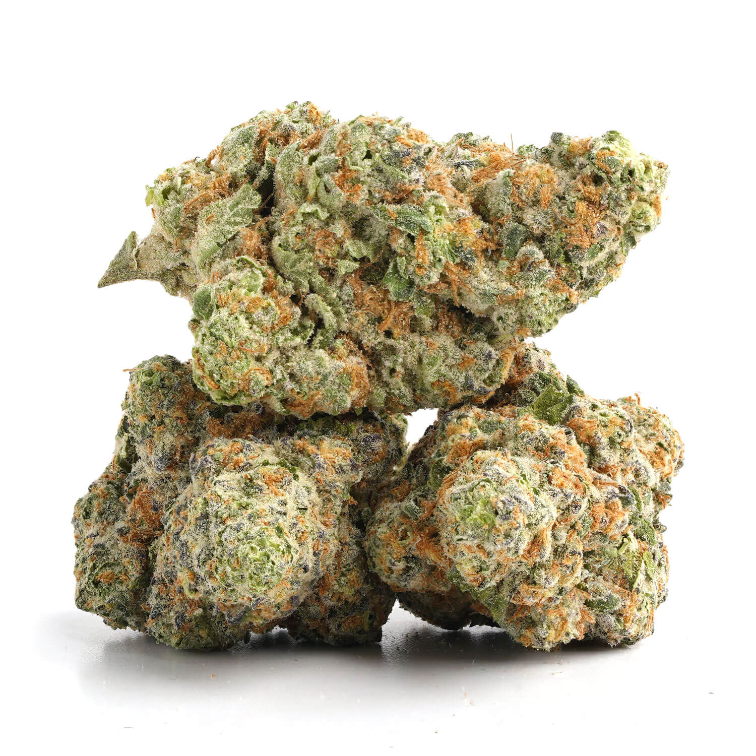 Garlic Galaxy 3 Buy Garlic Galaxy Online Canada