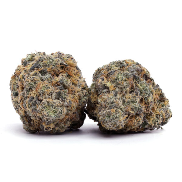 Gary Satan Strain