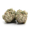 Jokerz Candy 4 Jokerz Candy Strain
