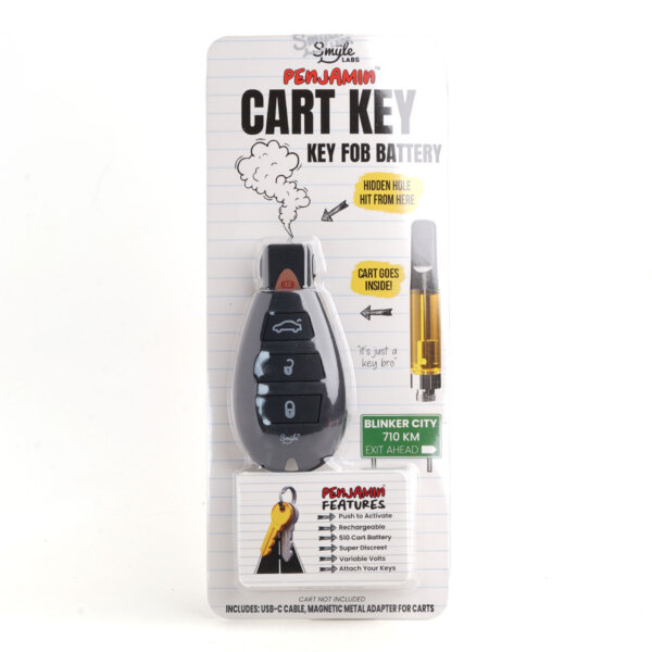 Car Key Penjamin 510 Battery