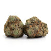 Witch Doctor 4 Witch Doctor Strain