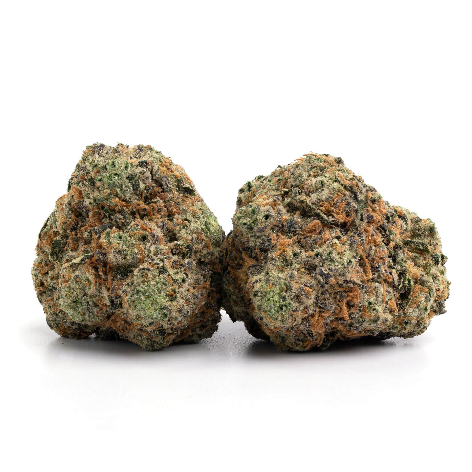 Witch Doctor 2 Witch Doctor Strain