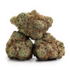 Witch Doctor 5 Buy Witch Doctor Online Canada